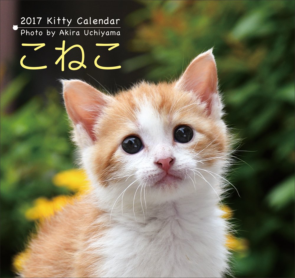 こねこ 2017 カレンダー